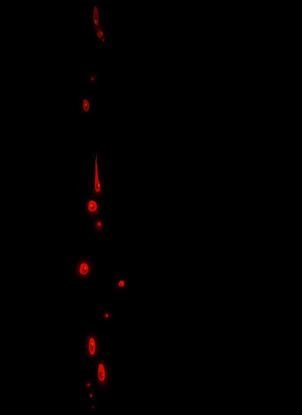 Shaman - Pháp Sư 1 trang 23