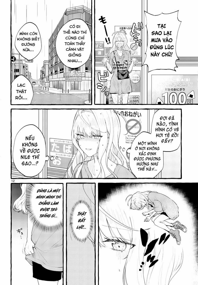 Sharehouse Nile 4 trang 12
