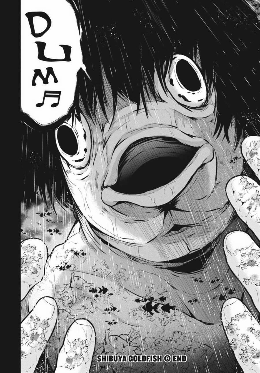 Shibuya Kingyo 37 trang 42
