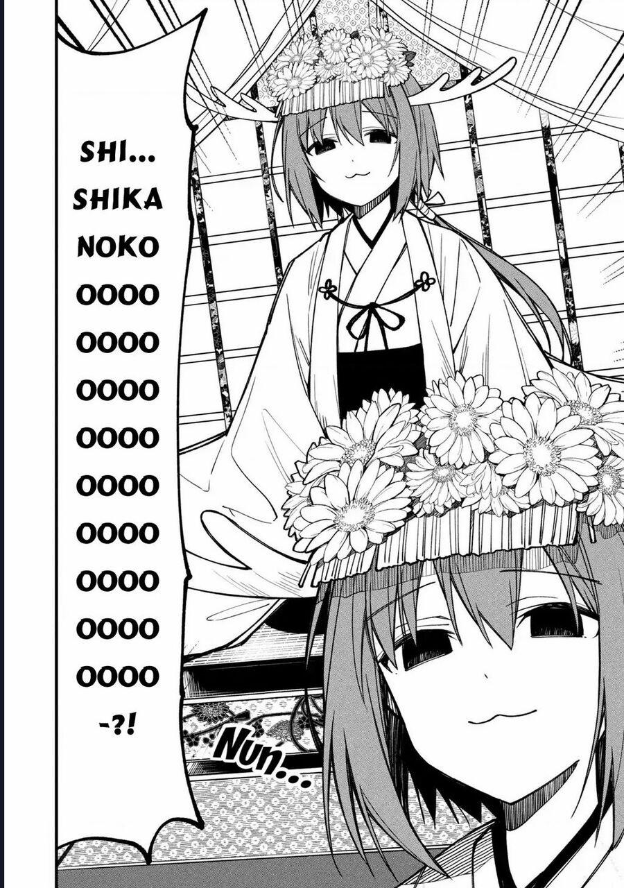 Shikanoko Nokonoko Koshitantan 12 trang 1