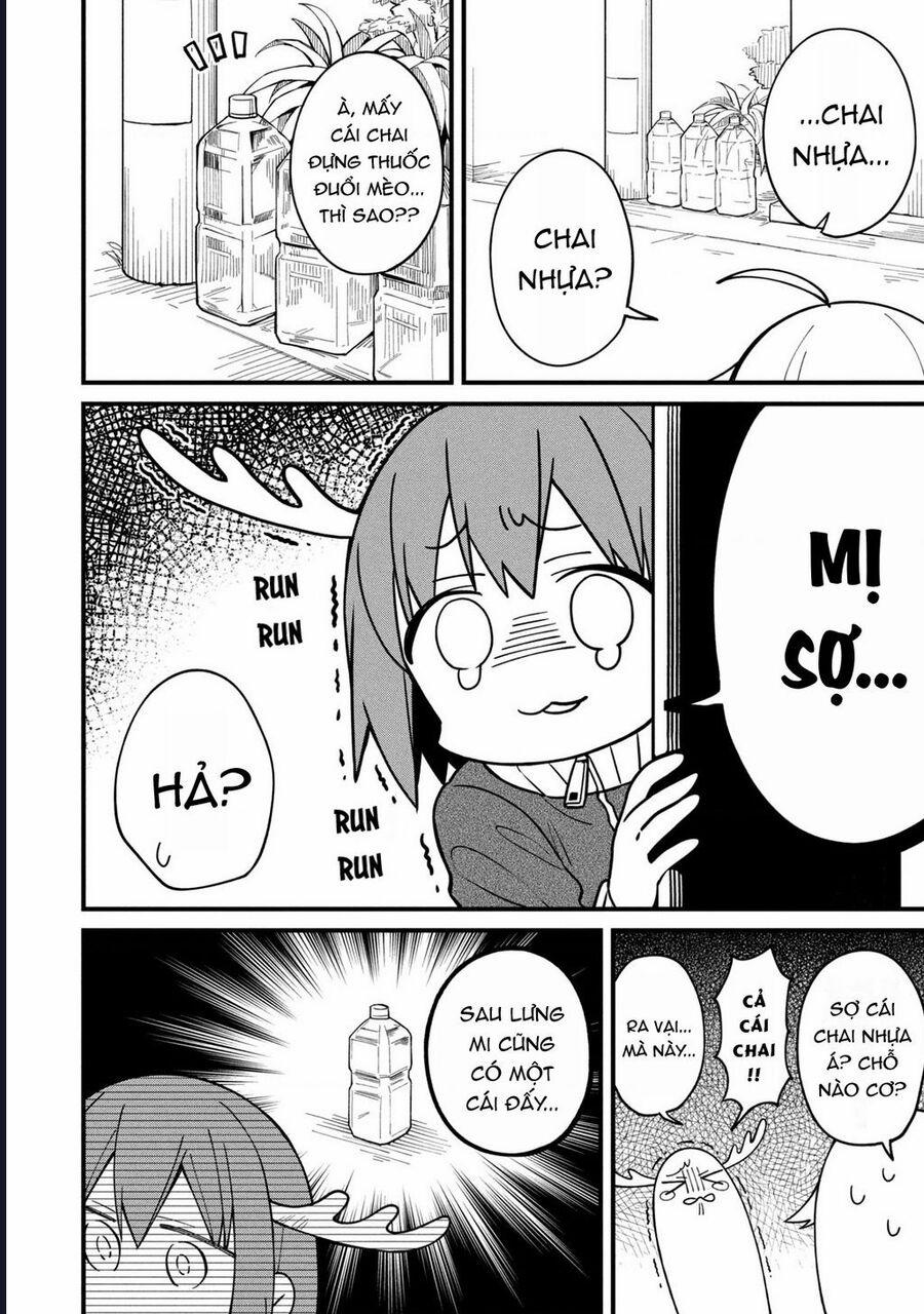 Shikanoko Nokonoko Koshitantan 6 trang 8