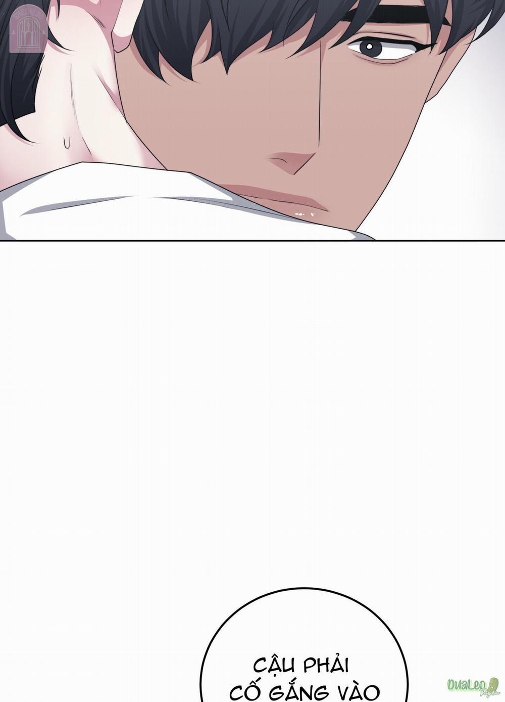 Shinsujeon 64 smeraldo trang 7