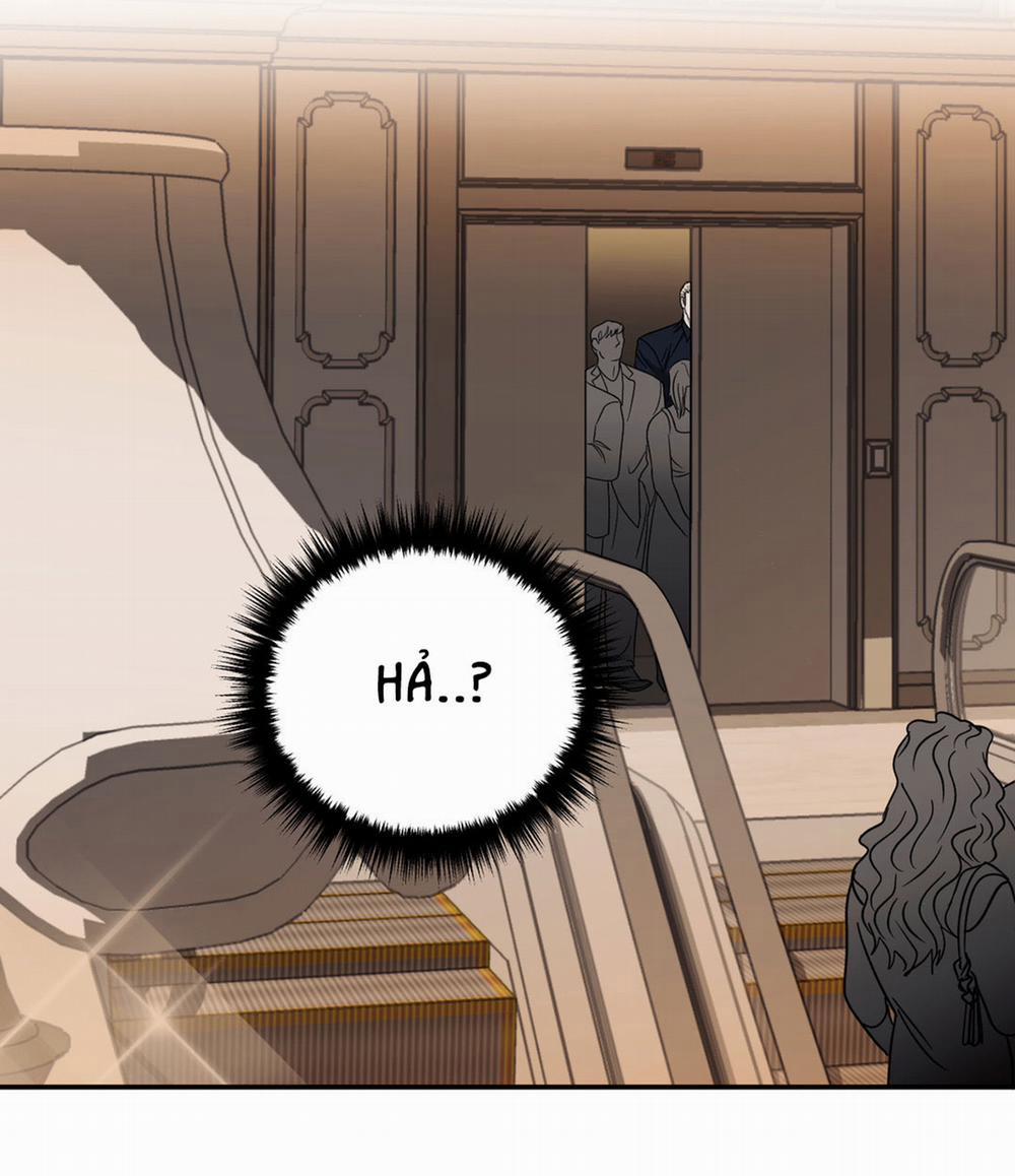 Shutline 24.2 trang 15