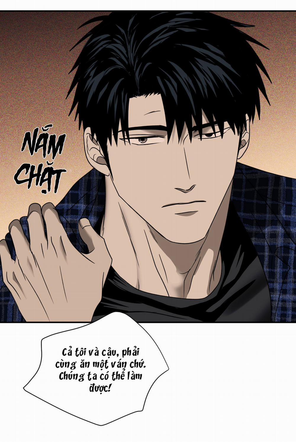 Shutline 24.2 trang 9