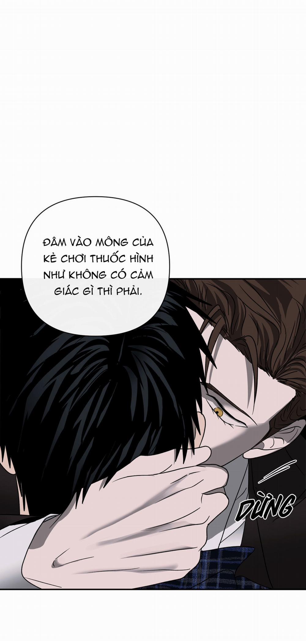 Shutline 25.1 trang 17