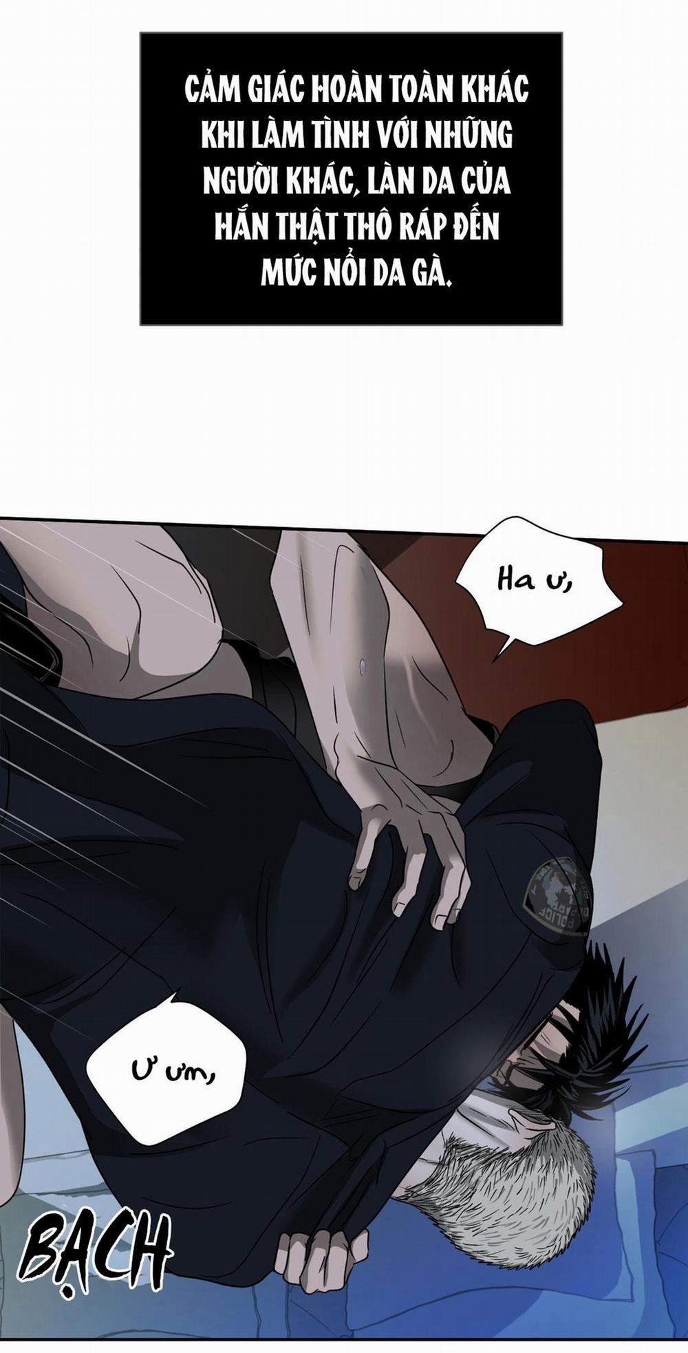 Shutline 28 trang 17