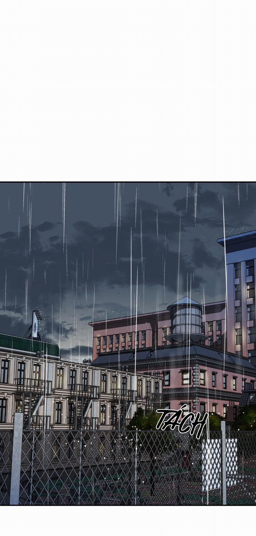 Shutline 33 trang 31