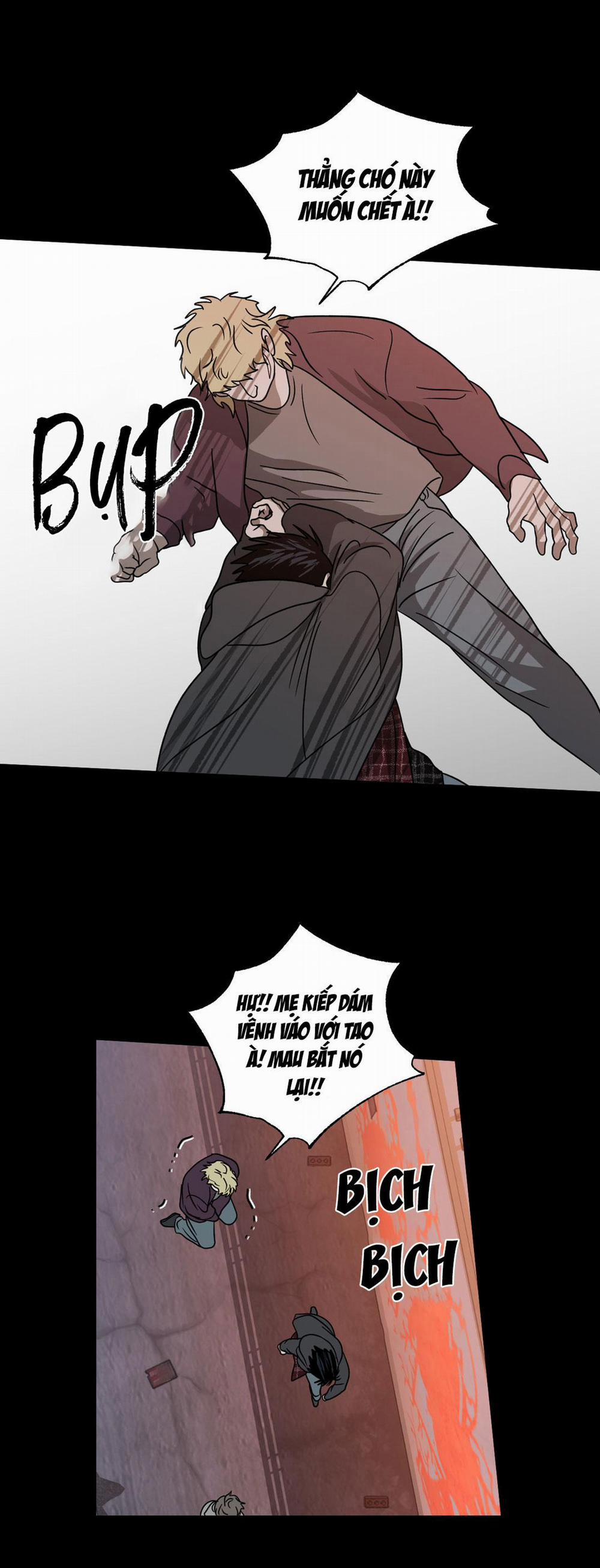 Shutline 34 trang 31