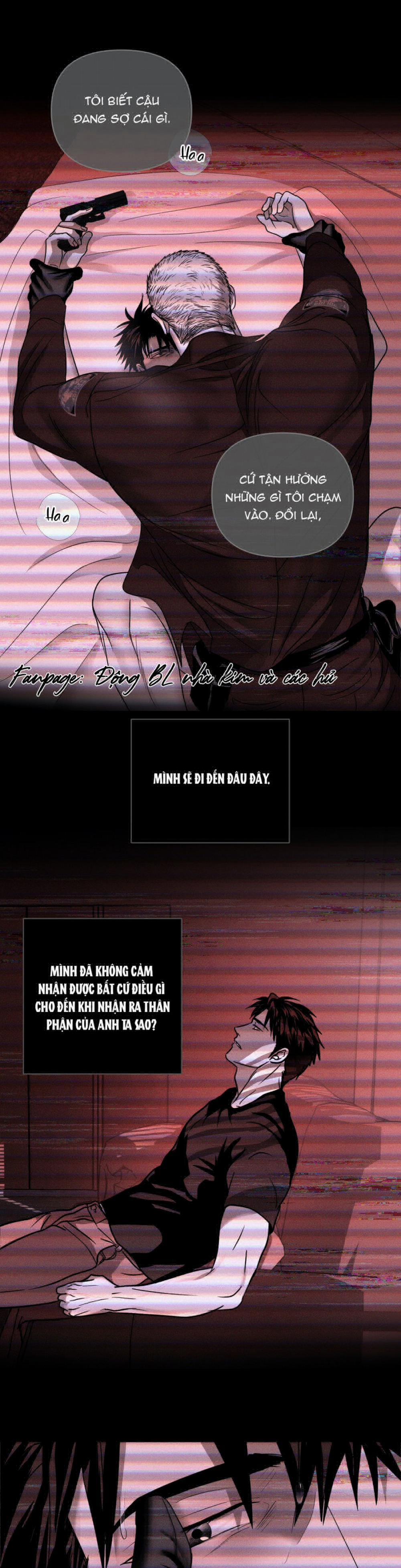 Shutline 41.5 trang 8