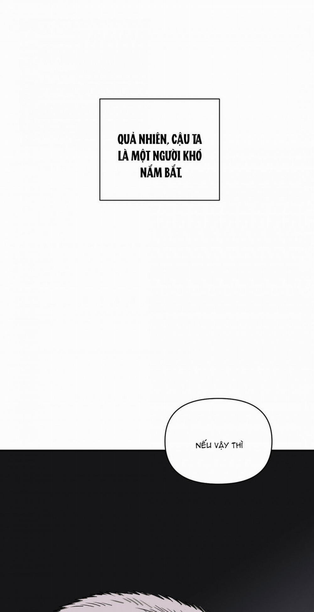 Shutline 42.5 trang 29