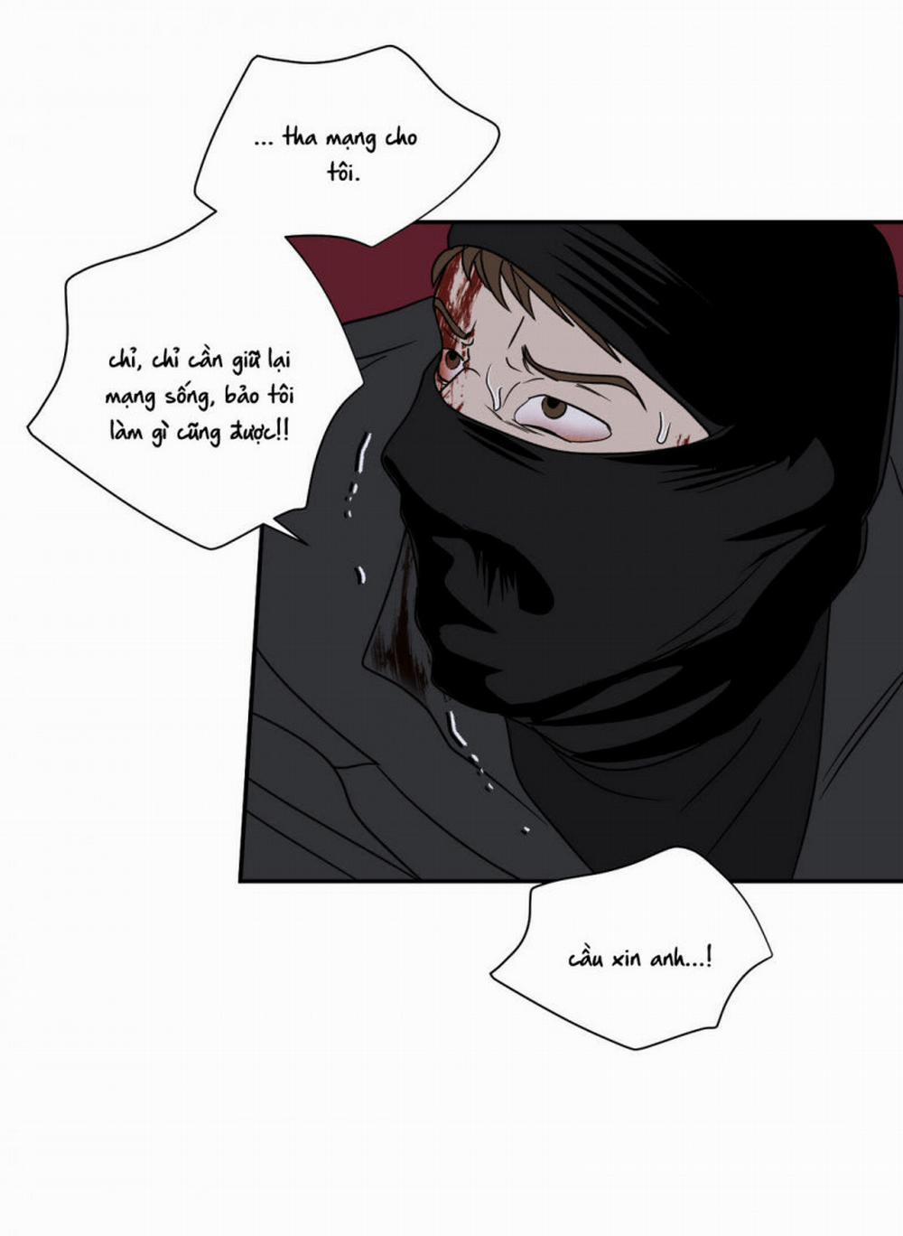 Shutline 42.5 trang 4