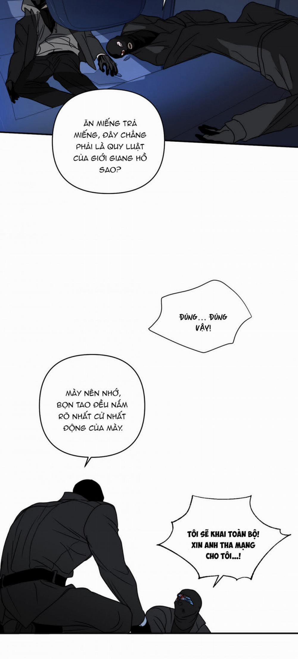 Shutline 42.5 trang 6