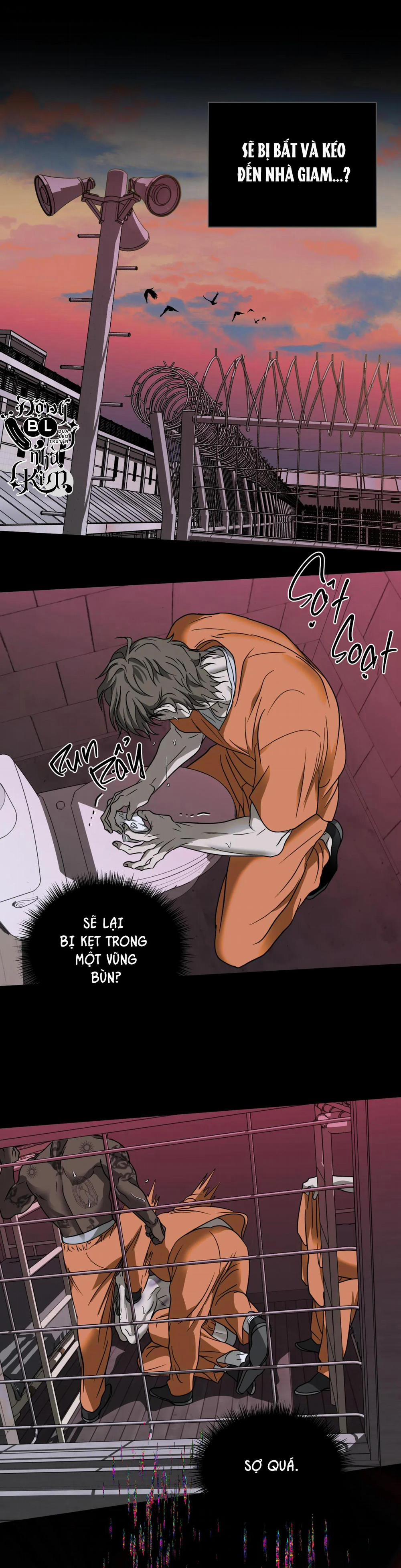 Shutline 43 ss2 trang 4