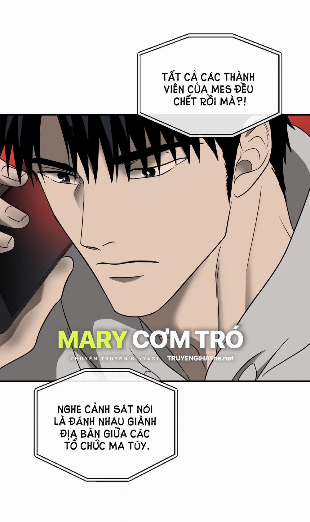 Shutline 51.1 trang 12