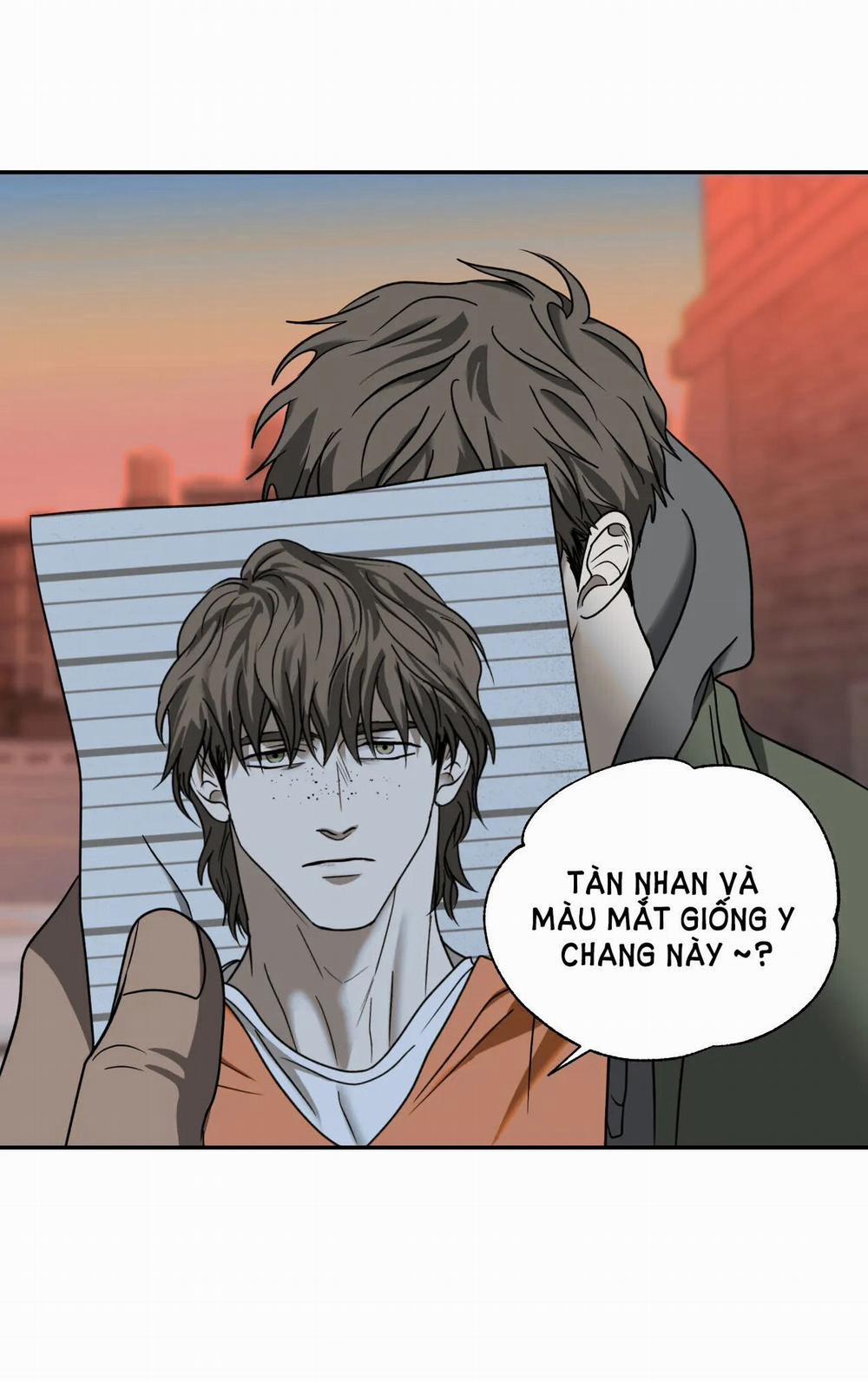 Shutline 51.2 trang 17