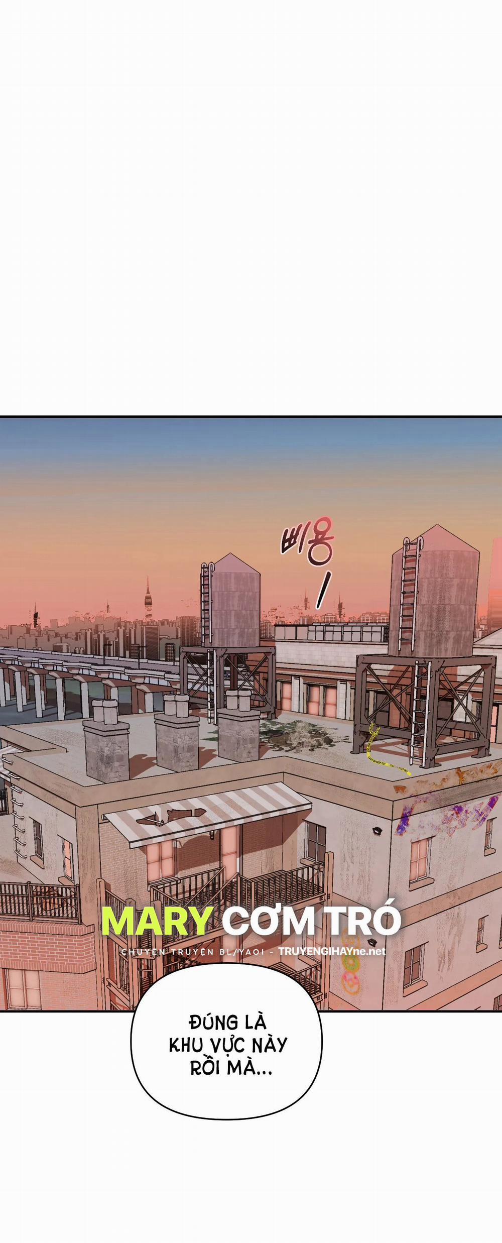 Shutline 51.2 trang 8