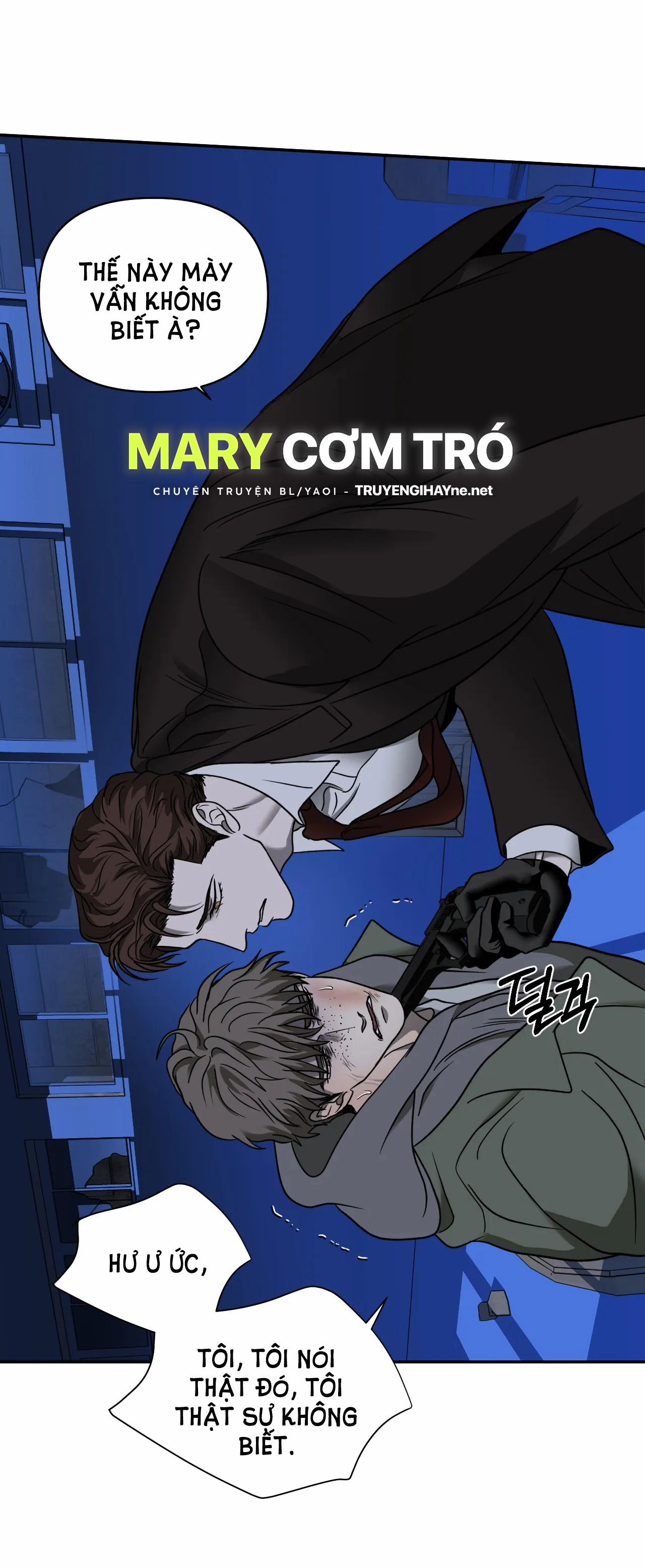 Shutline 52.1 trang 11