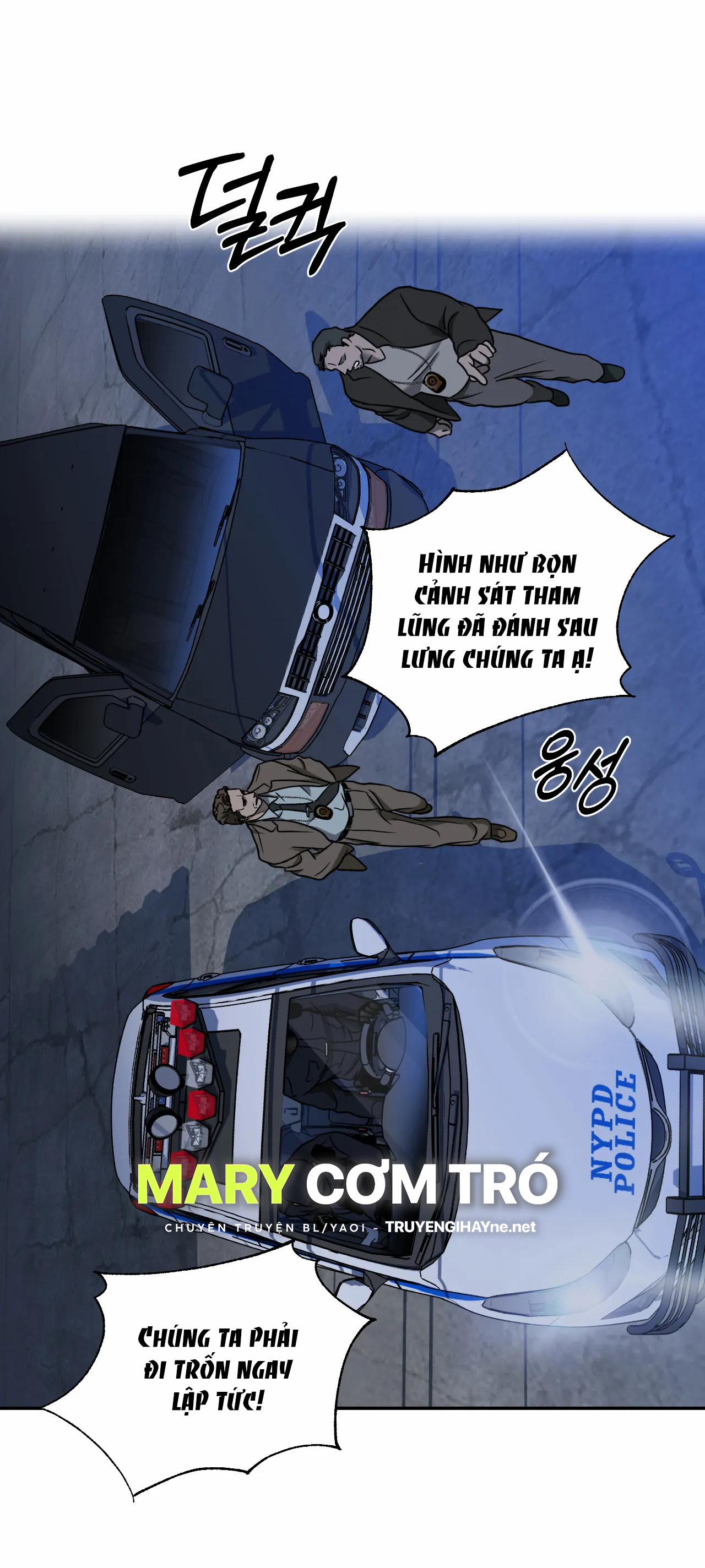 Shutline 52.1 trang 15