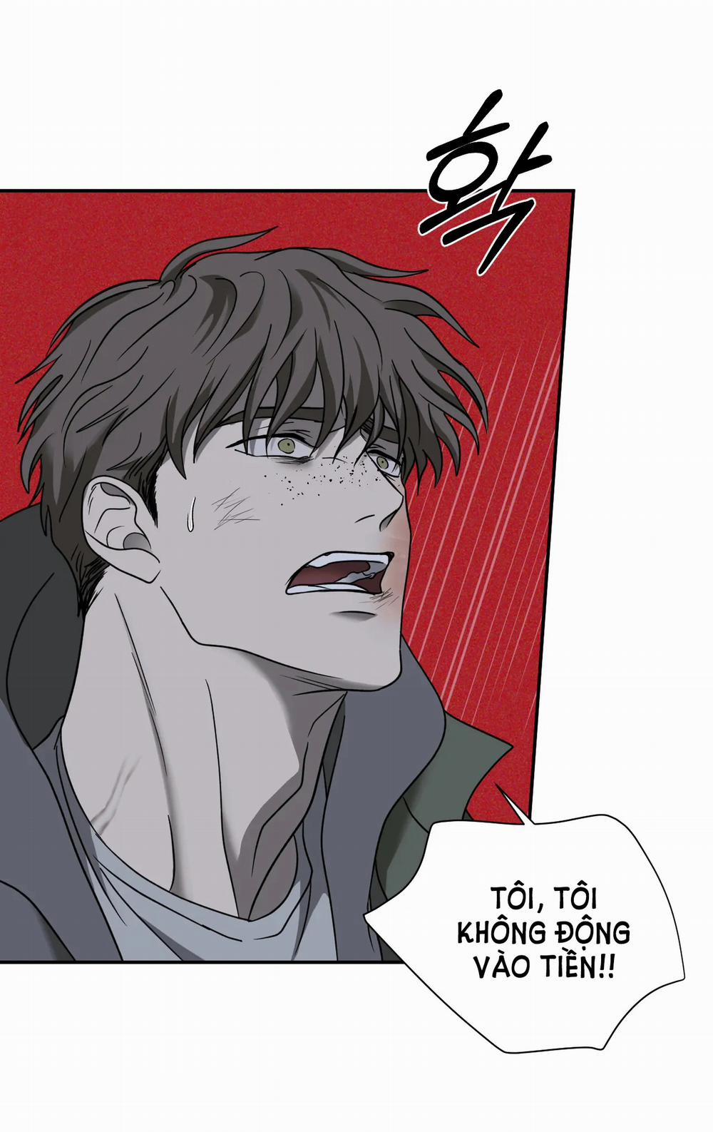 Shutline 52.1 trang 8