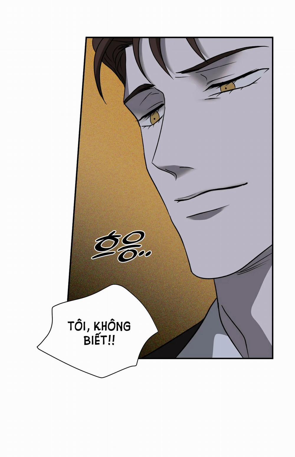 Shutline 52.1 trang 9