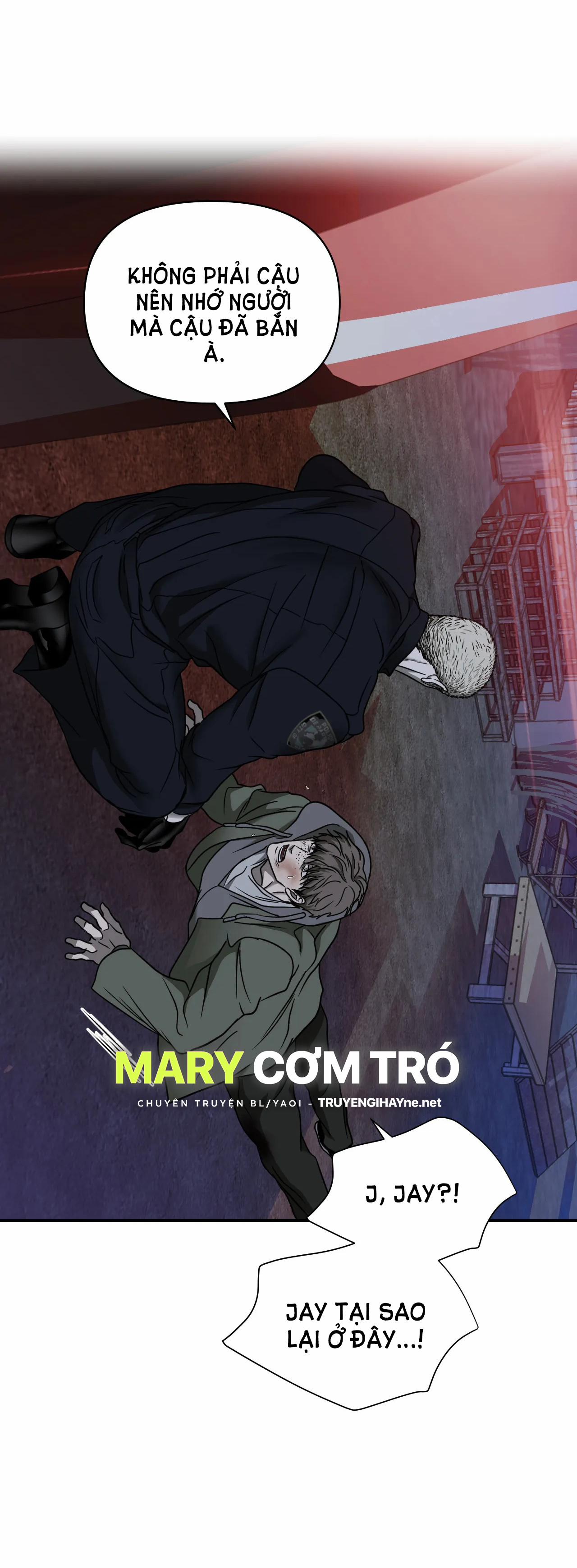 Shutline 52.2 trang 11