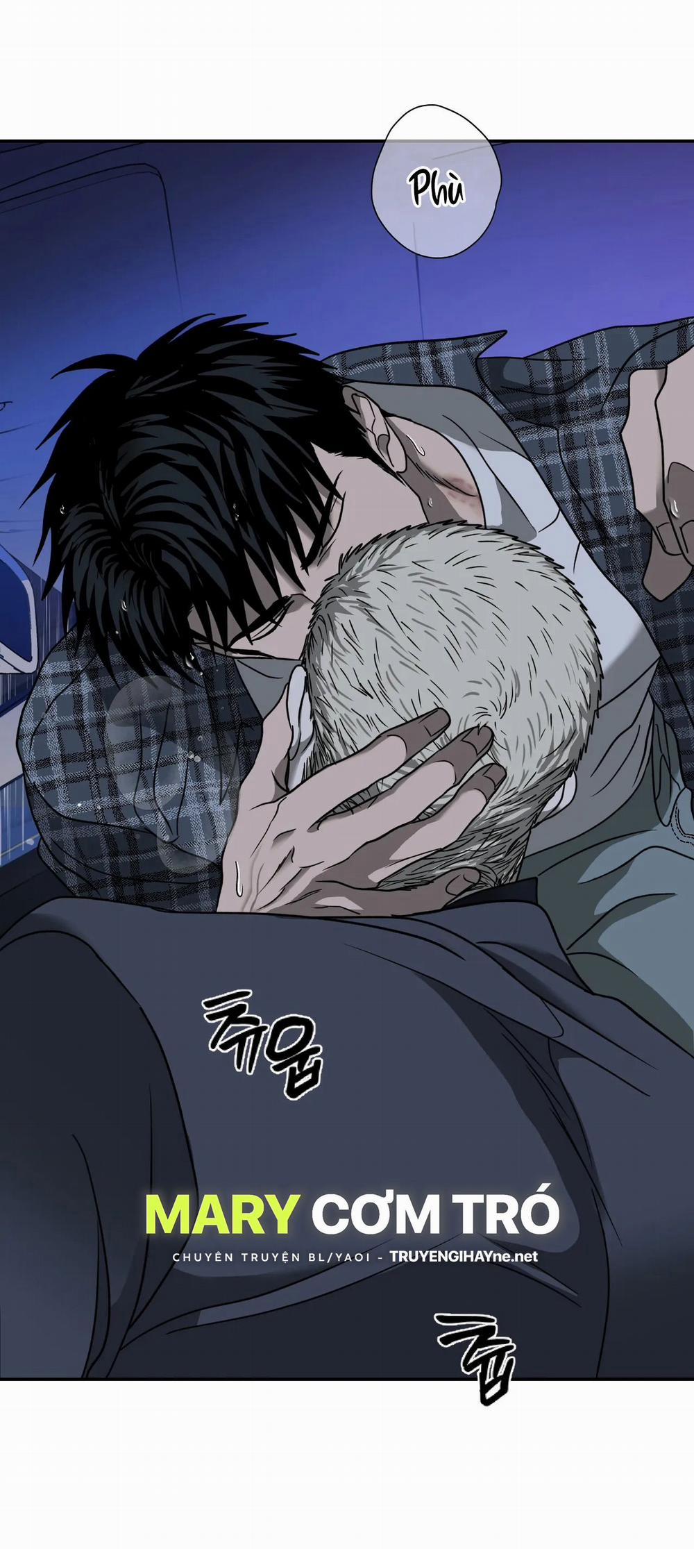 Shutline 54.2 trang 25