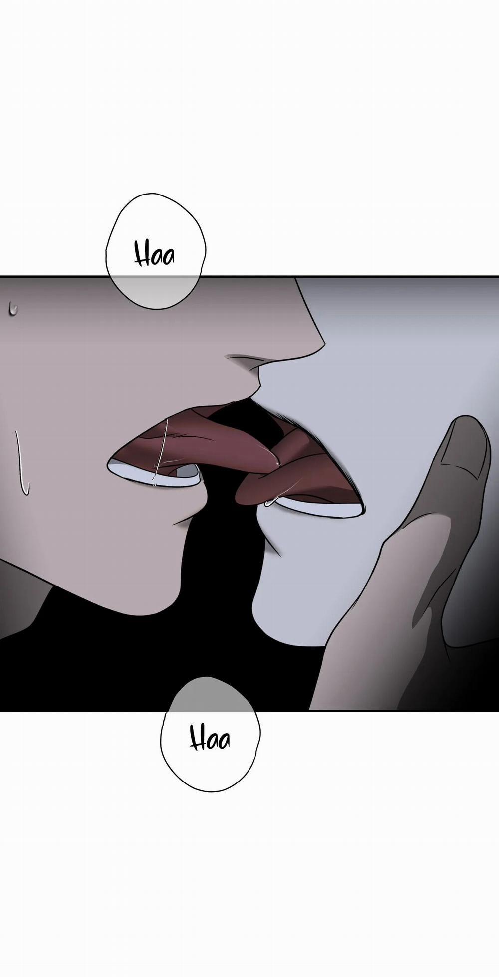 Shutline 54.2 trang 27