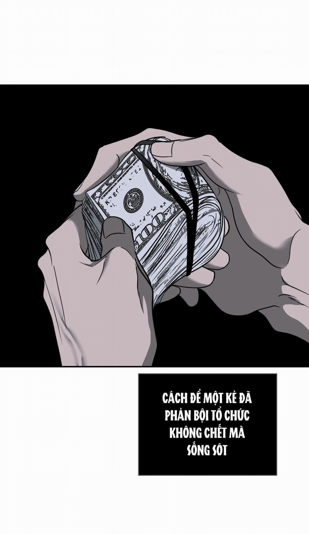 Shutline 55.1 trang 2