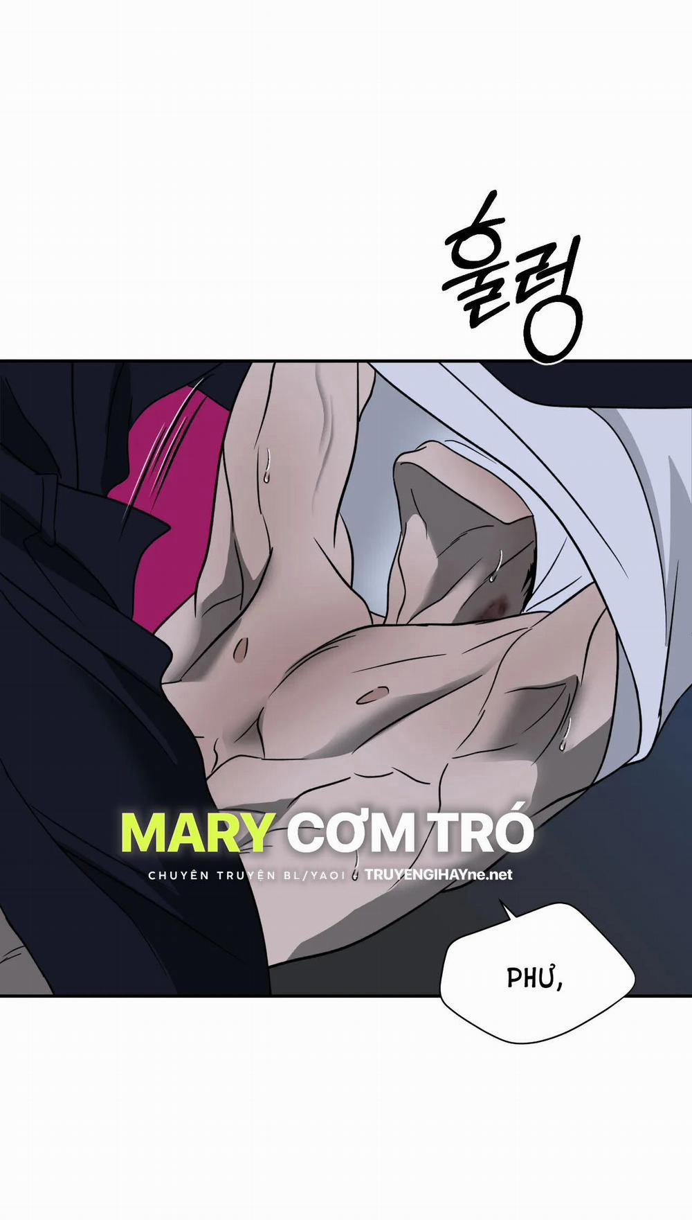 Shutline 56.1 trang 26