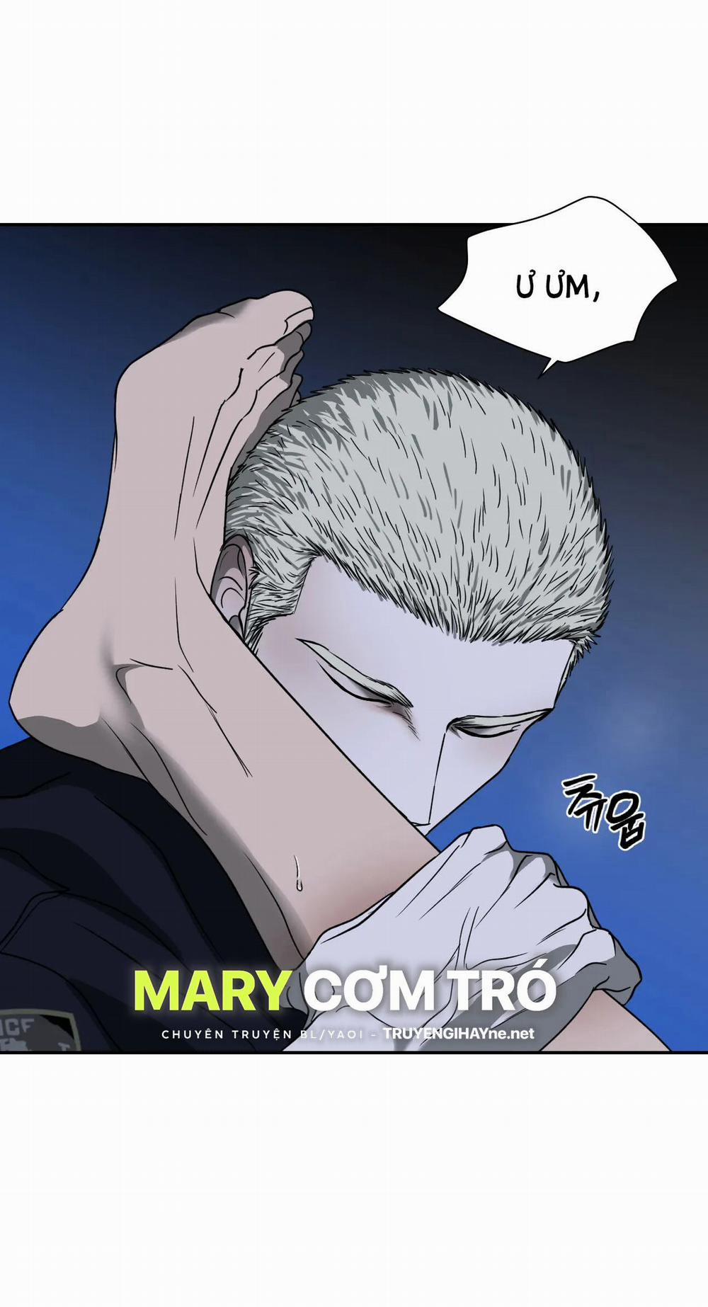 Shutline 56.1 trang 5