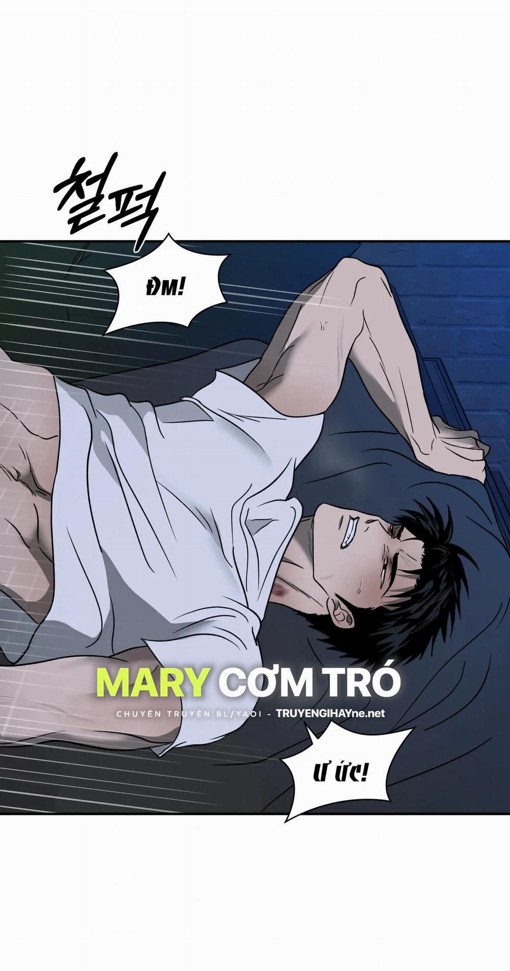 Shutline 56.1 trang 8