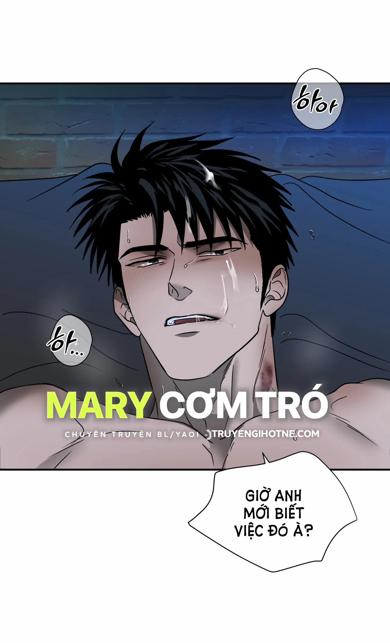 Shutline 57.1 trang 28