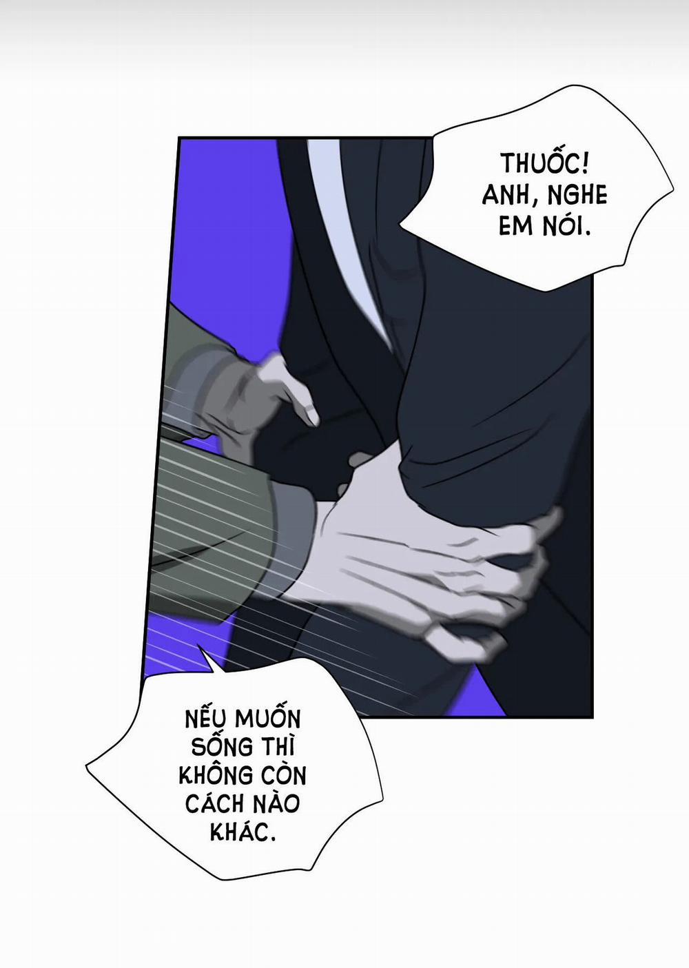 Shutline 60.2 trang 23