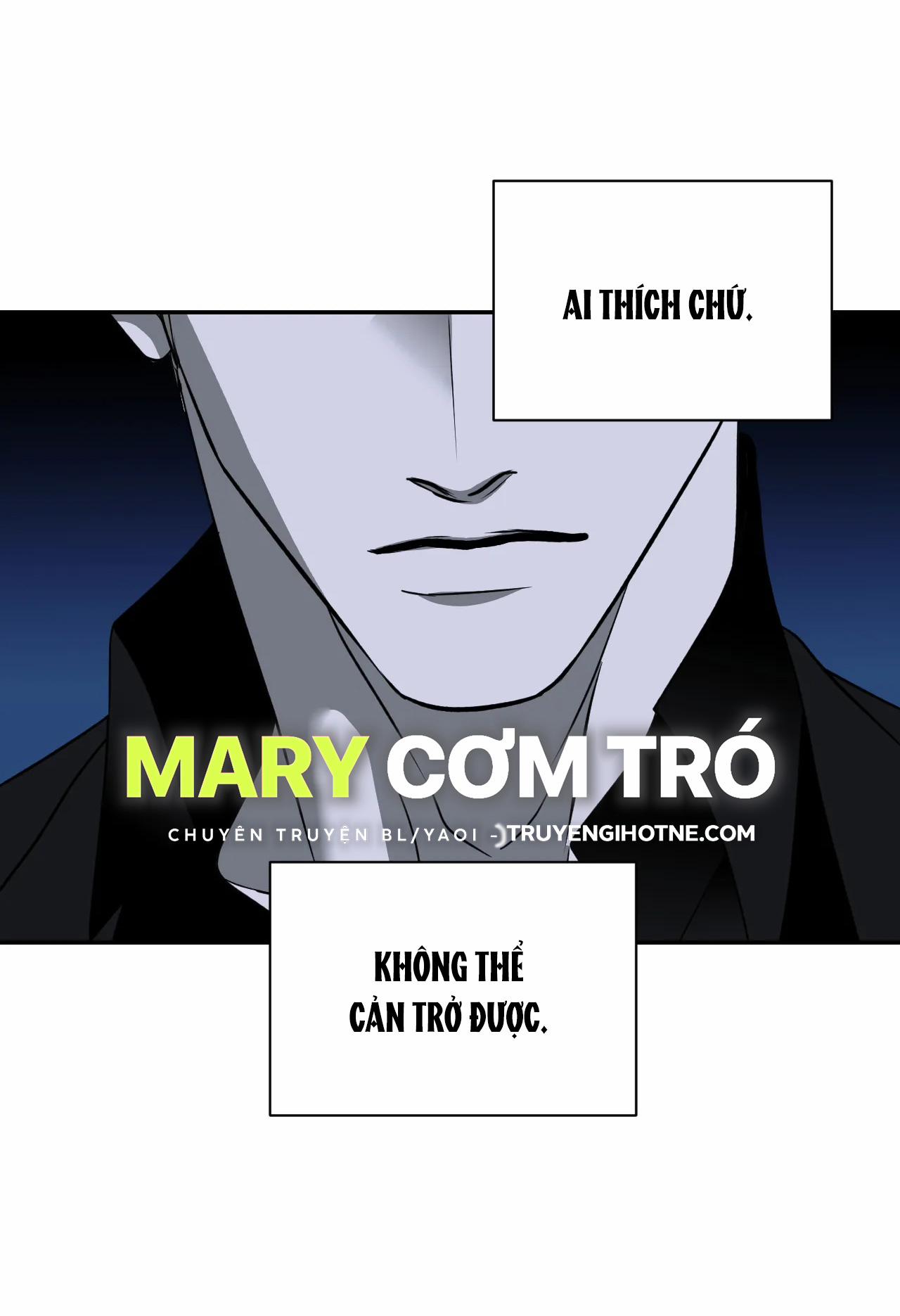 Shutline 61.2 trang 7