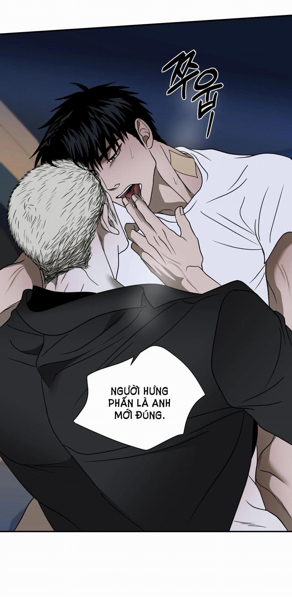 Shutline 64.1 trang 22