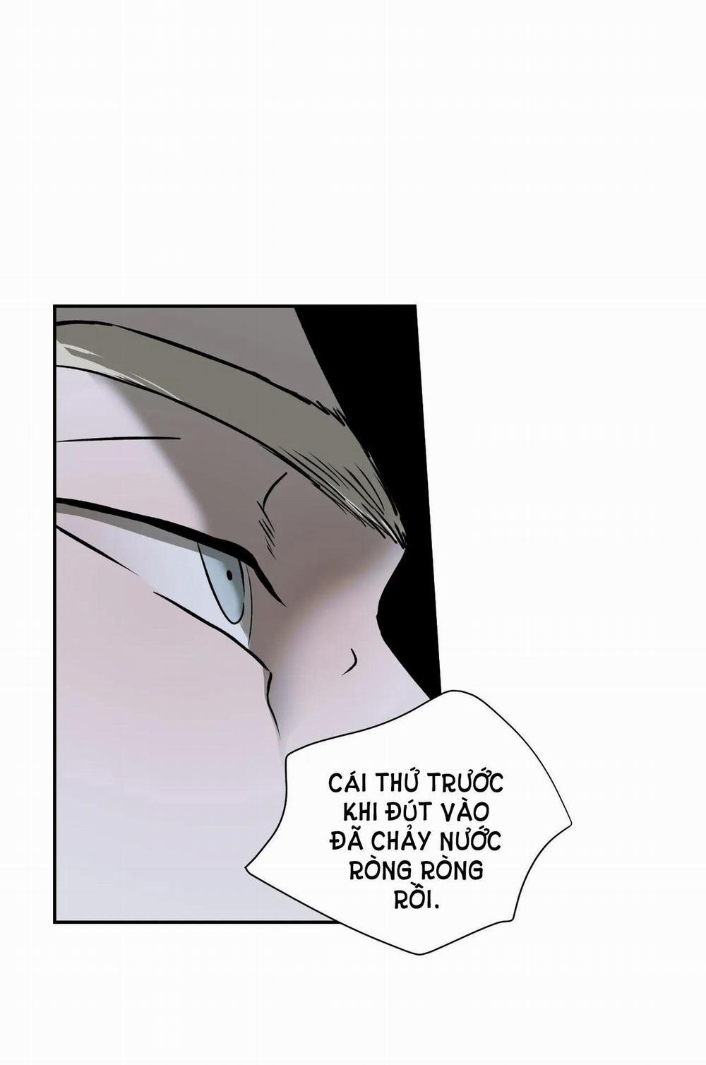 Shutline 64.1 trang 23