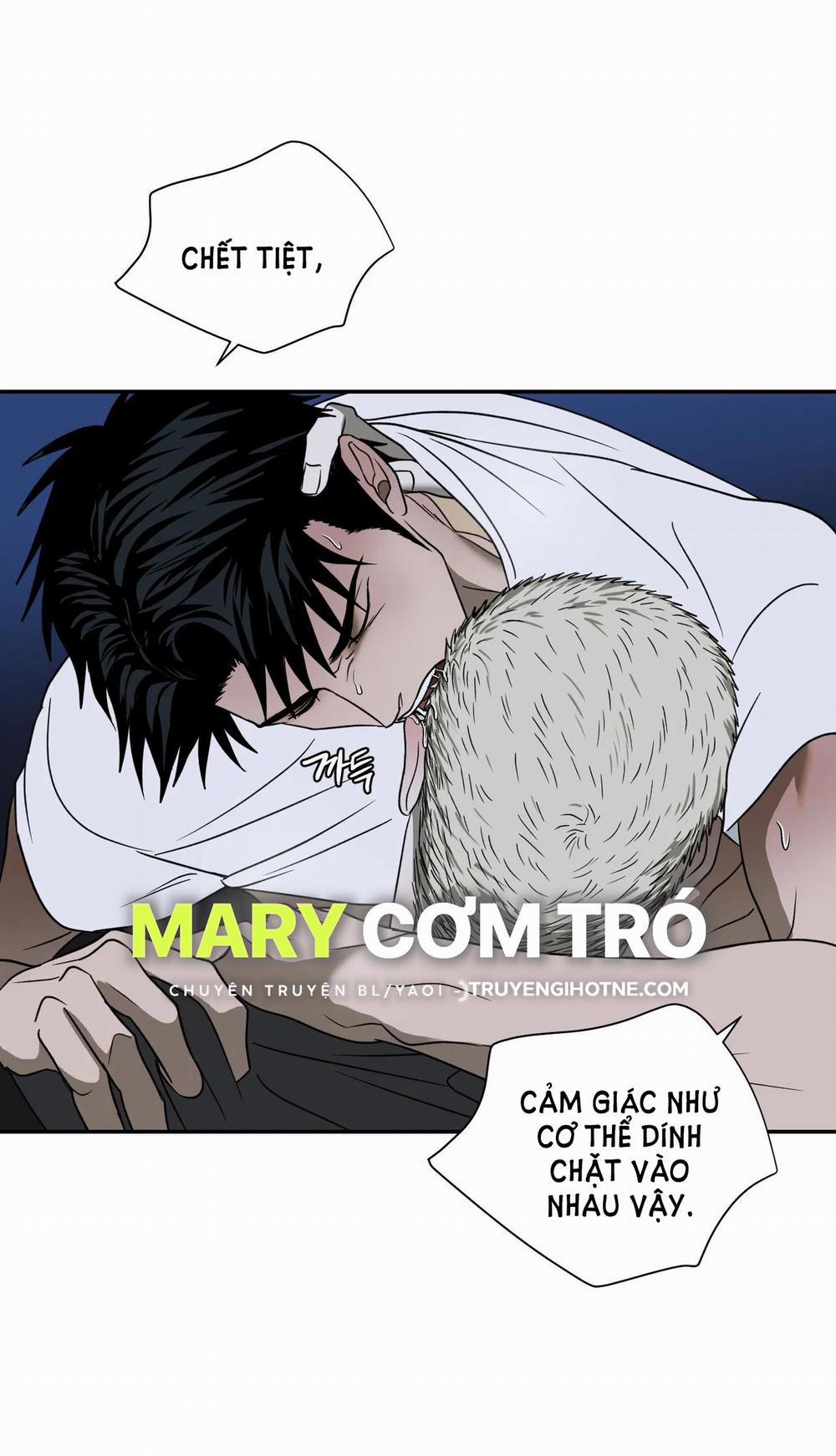 Shutline 64.2 trang 5