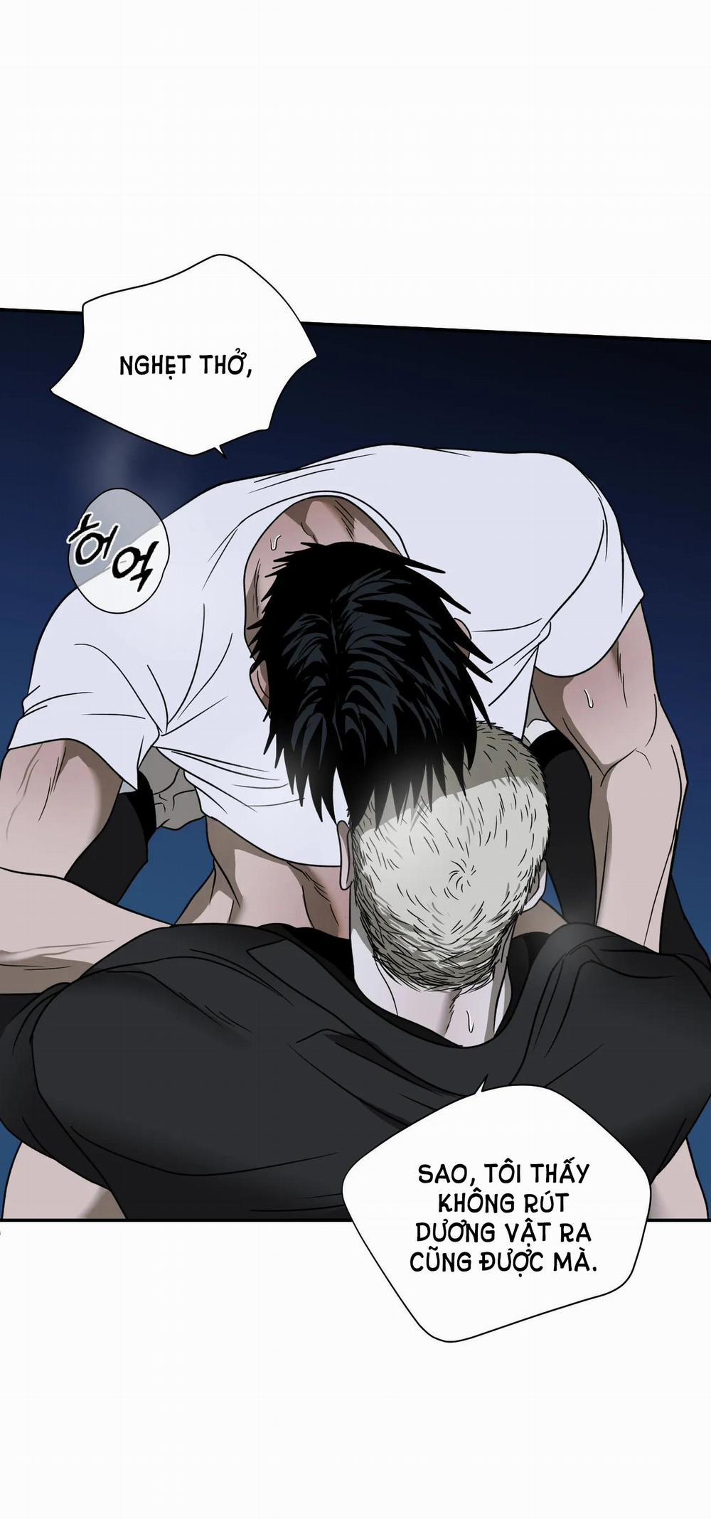 Shutline 64.2 trang 6