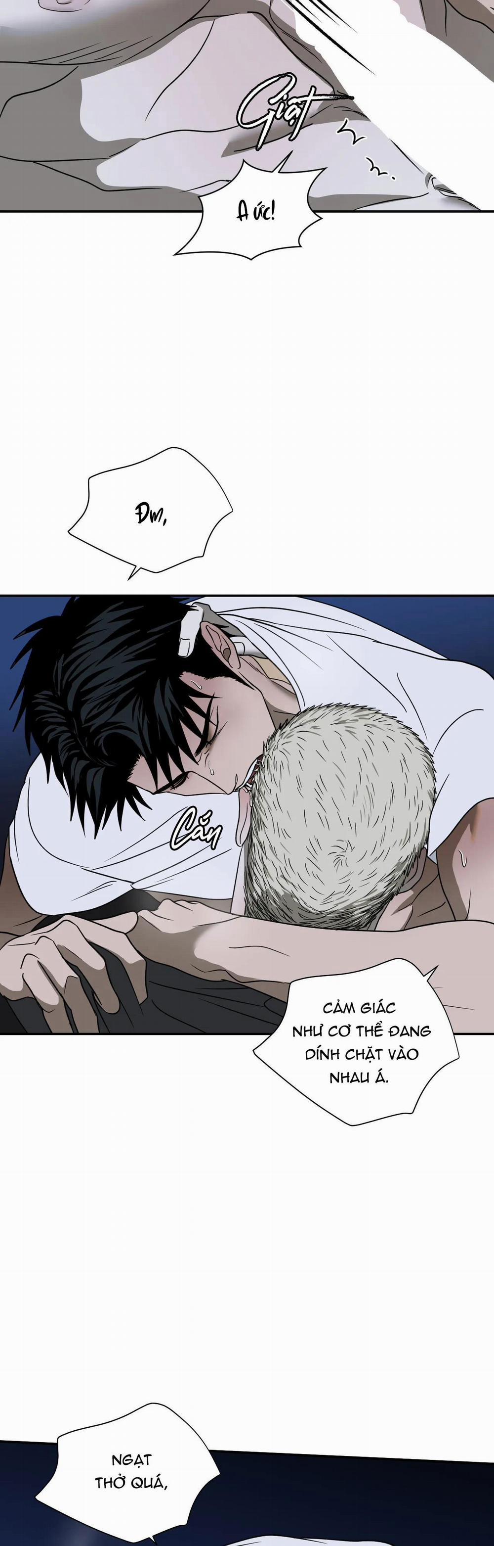 Shutline 64 trang 17