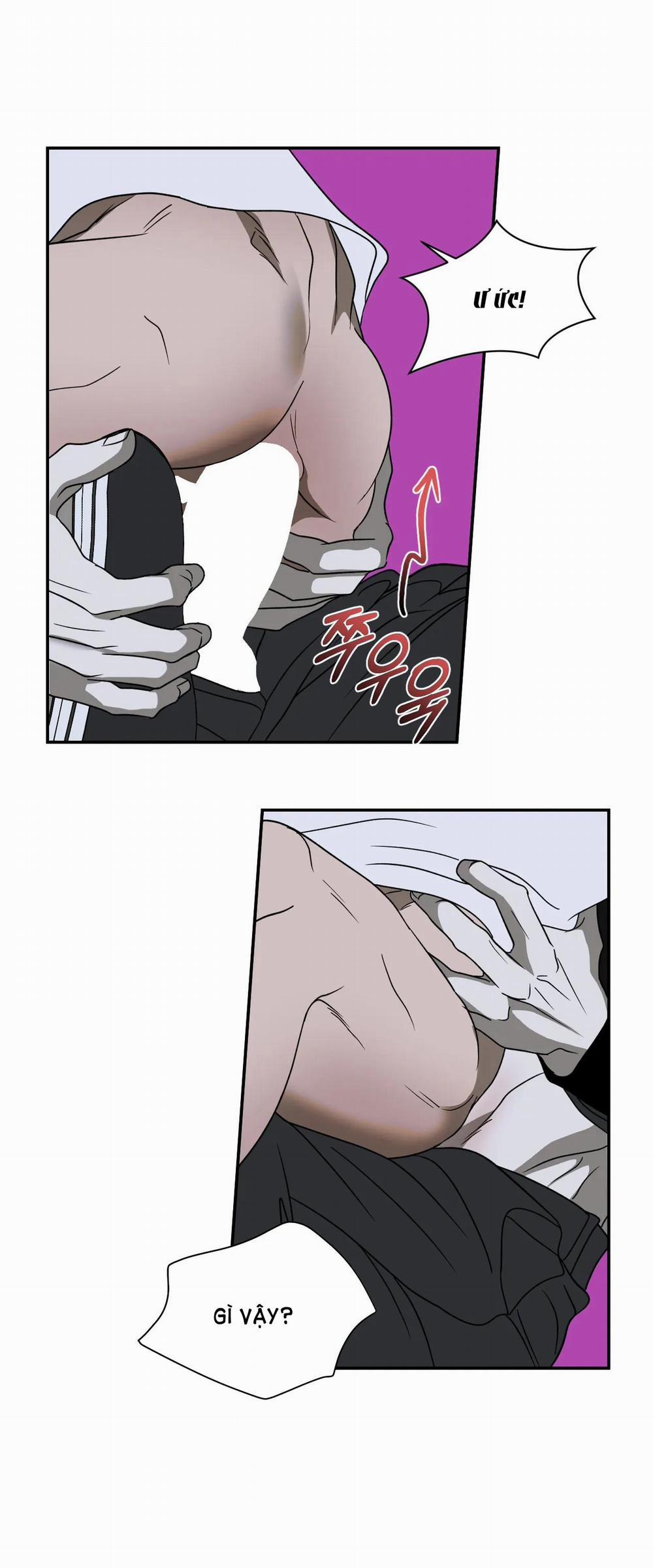 Shutline 65.1 trang 10