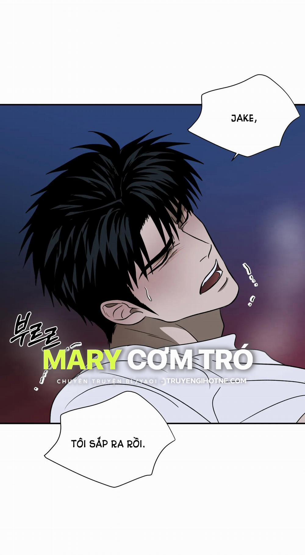 Shutline 65.2 trang 12