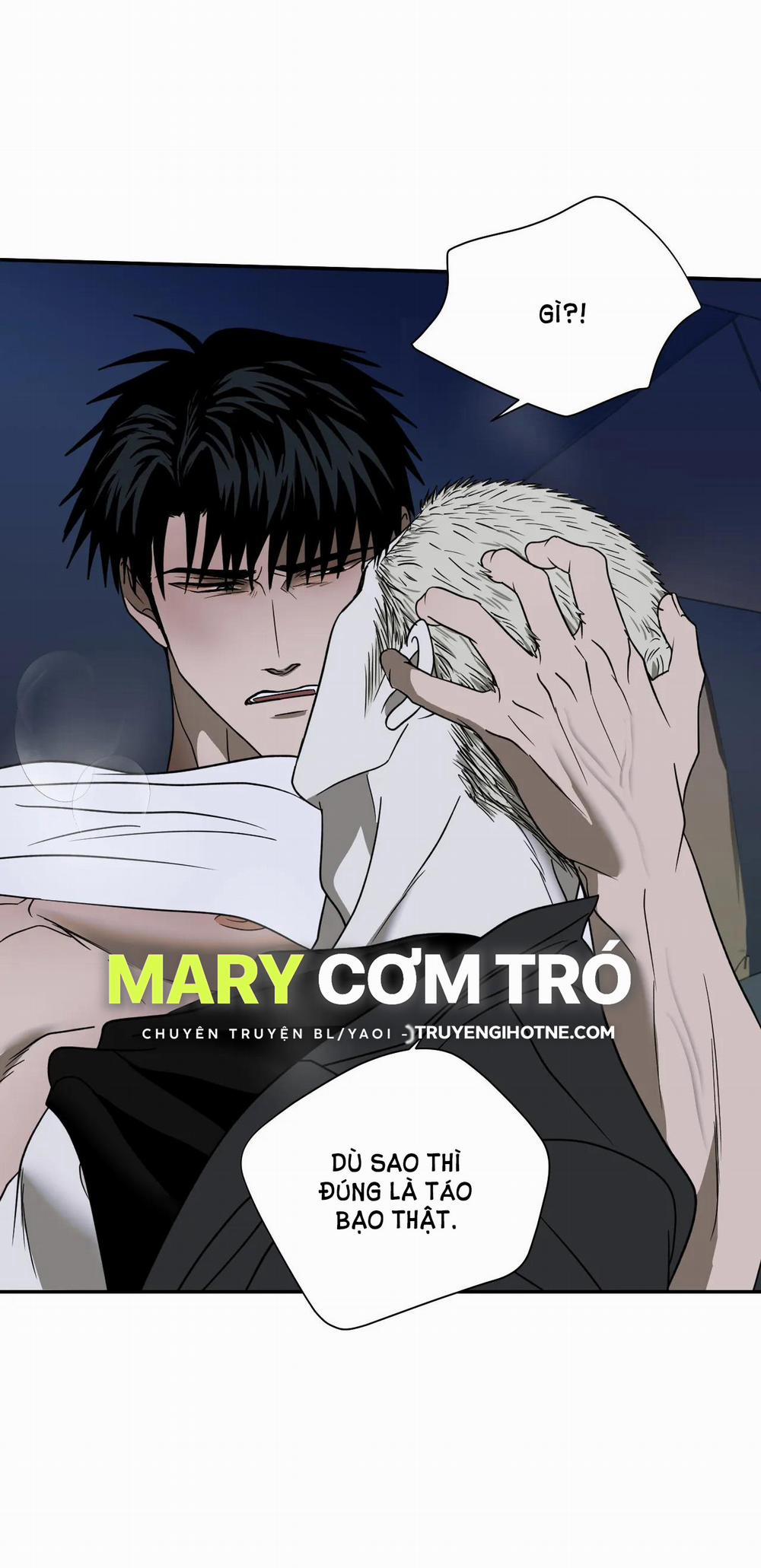 Shutline 65.2 trang 6