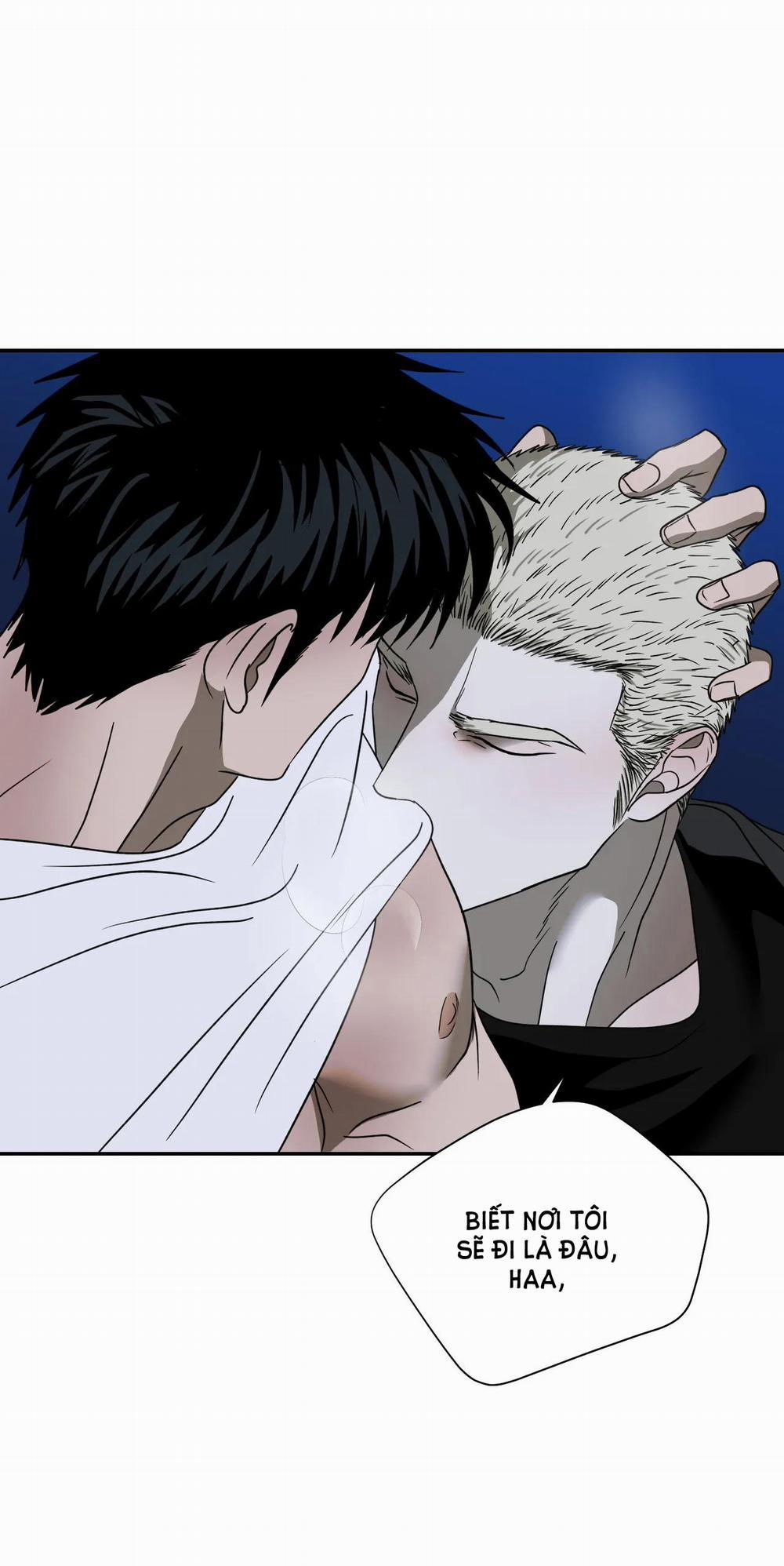 Shutline 65.2 trang 7