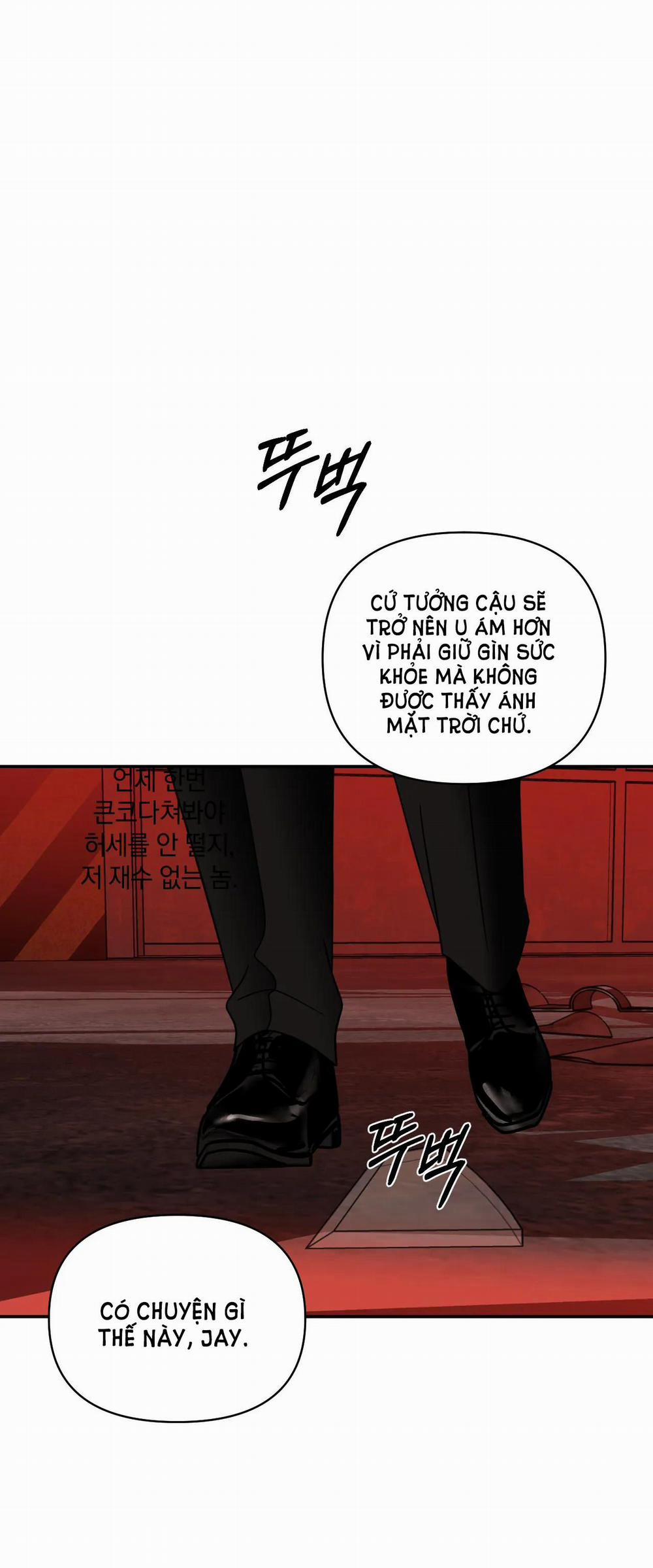 Shutline 66.1 trang 8