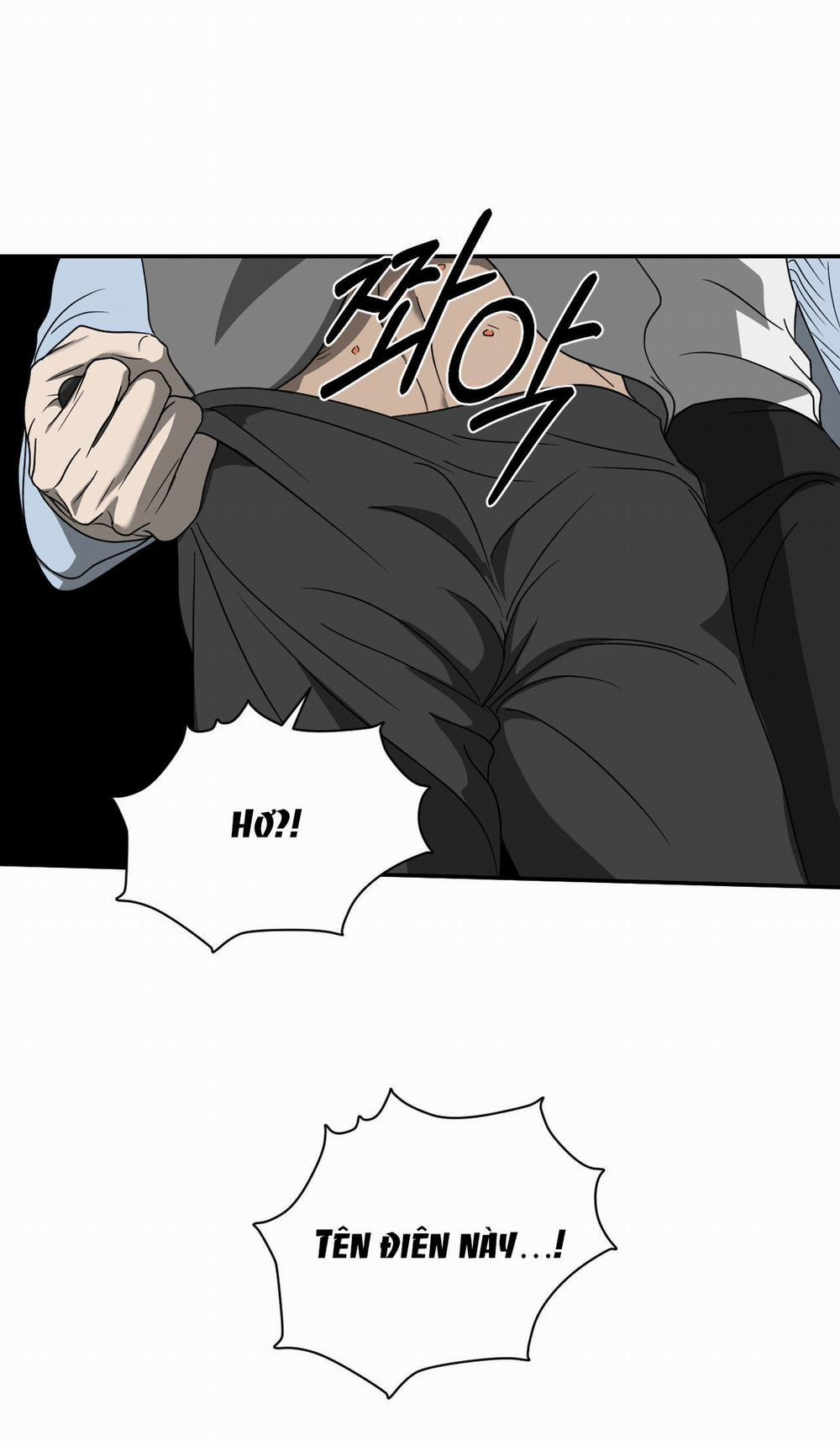 Shutline 73.2 trang 11