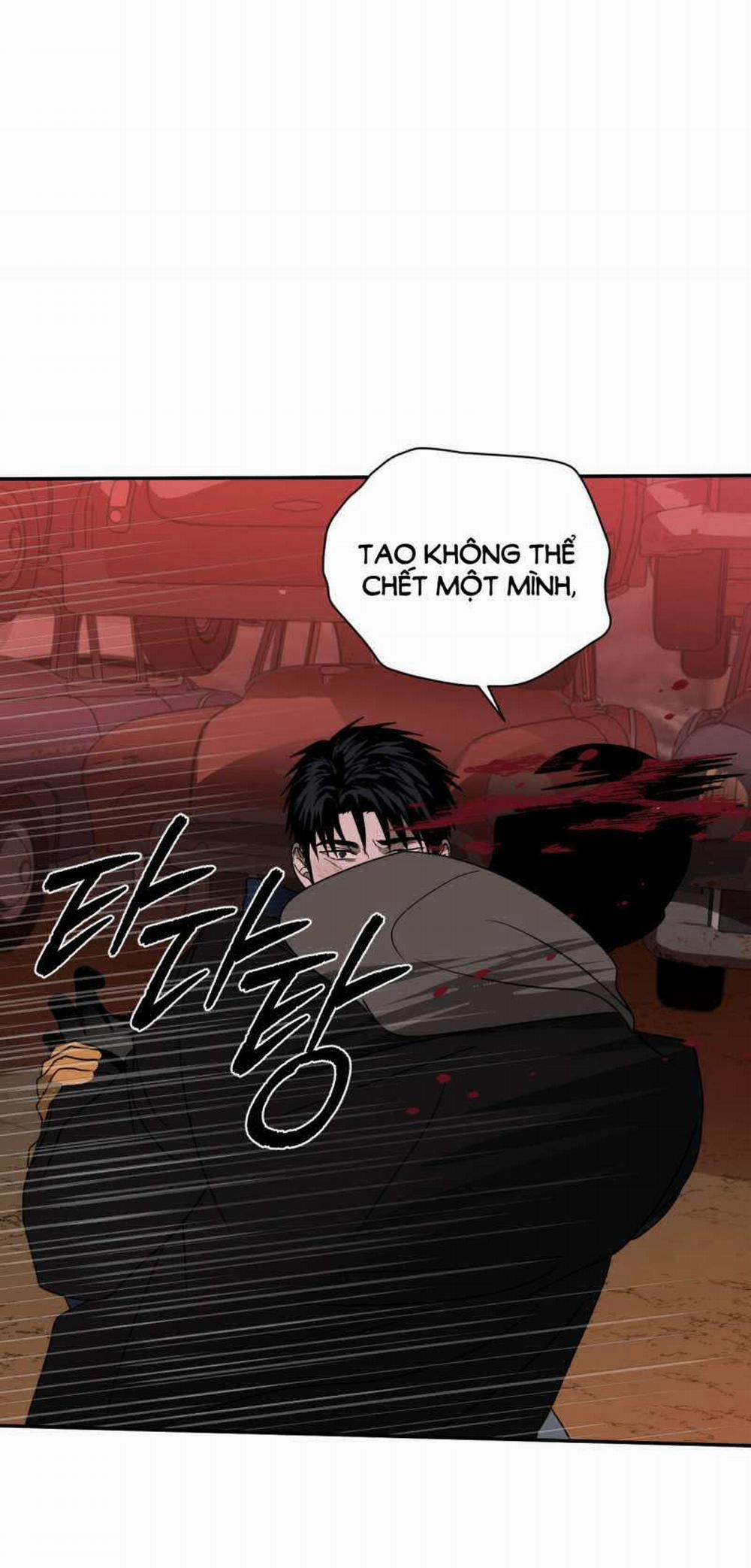 Shutline 77.1 trang 6