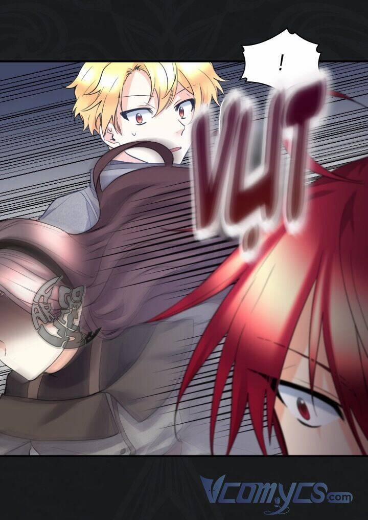 Sinh Đôi Xuyên Không 121 trang 13