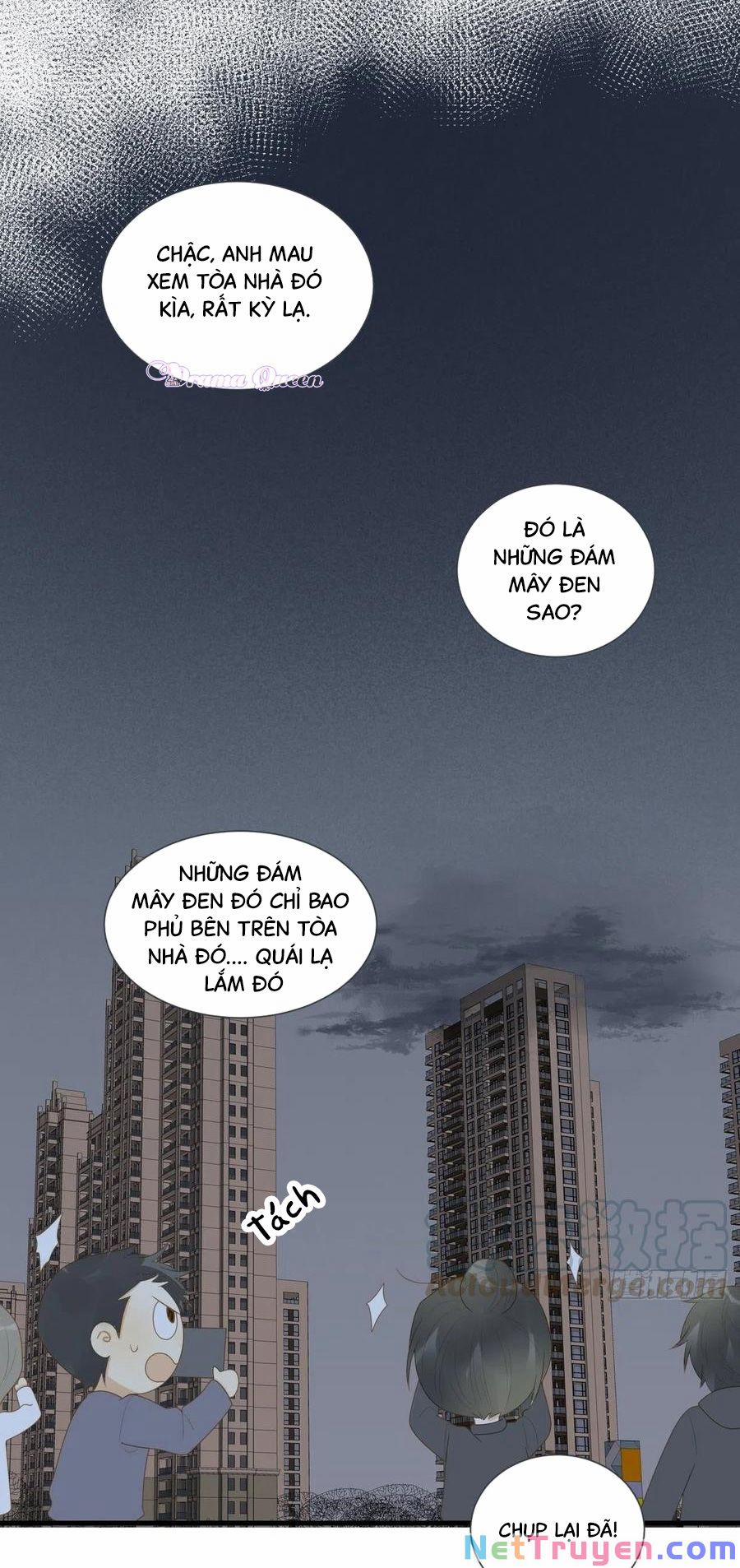Sinh Hạ Long Chủng 205 trang 0