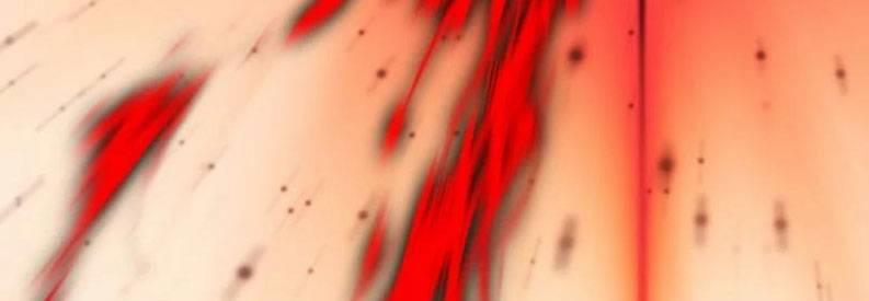 Sinh Hoạt Của Võ Đế Sau Khi Ẩn Cư 266 trang 46