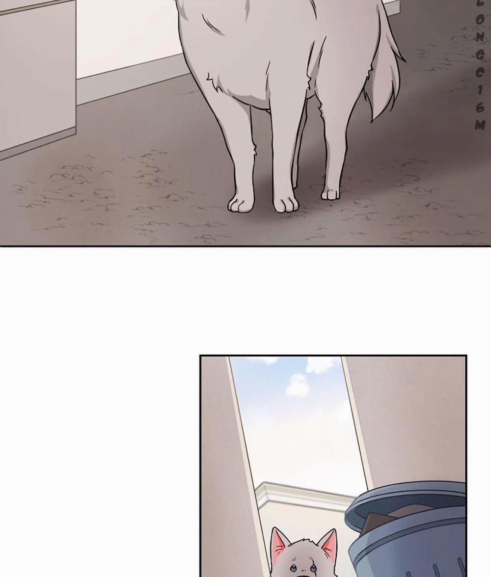 Sit, Wait, Kiss Me 17 trang 50